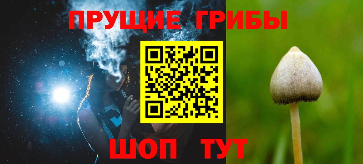 Псилоцибиновые грибы Magic Shrooms  Вход с VPN  Жуковский 